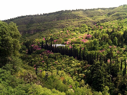 Tbilisi Botanical Garden